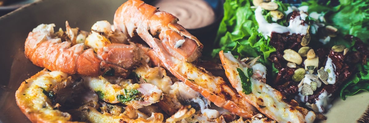 Where to Eat in Iceland