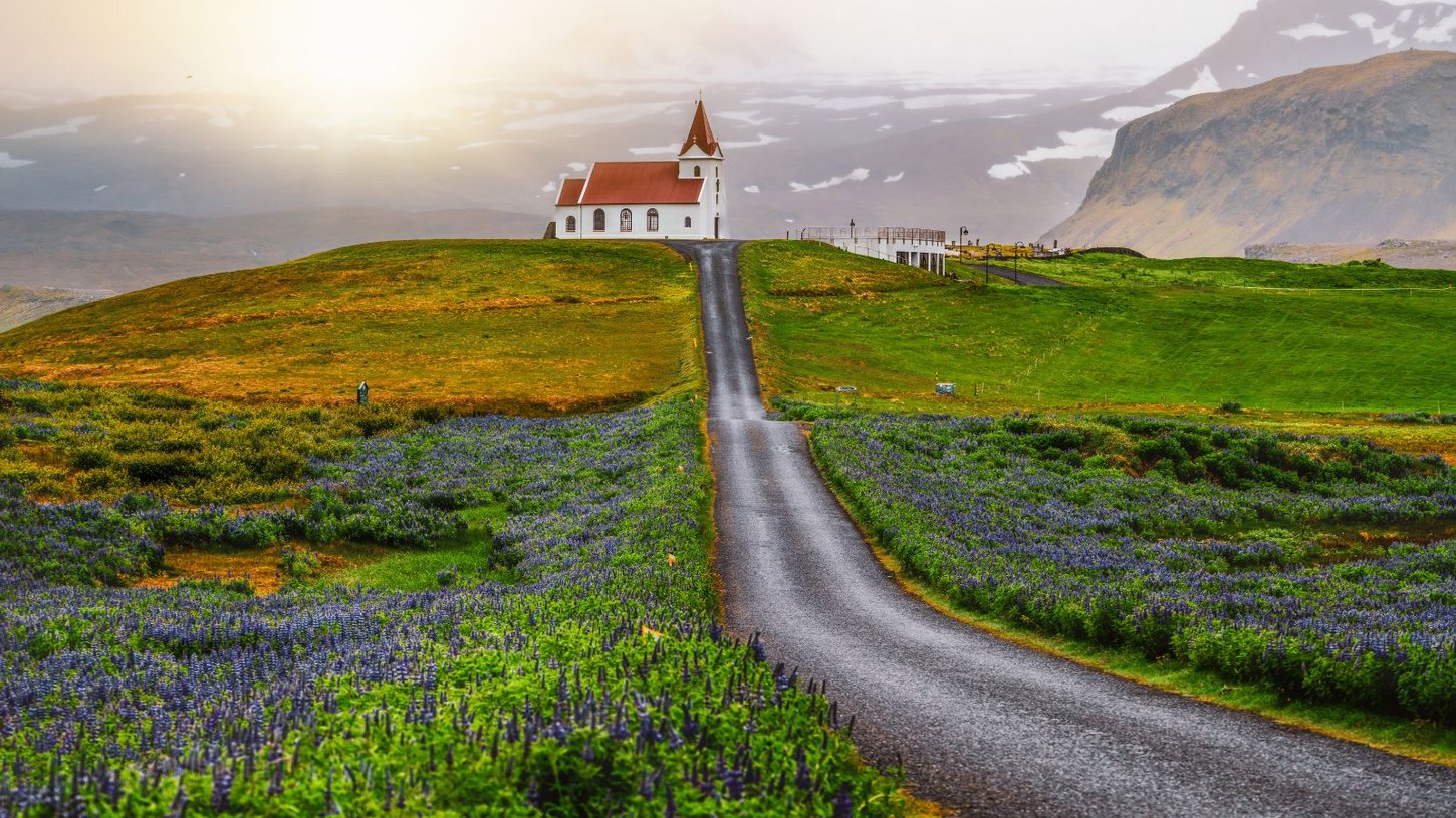 Ingsjaldsholl Church in Hellissandur against the Snaefellsjokull Mountain in Iceland with purple lupines blooming in the foreground.