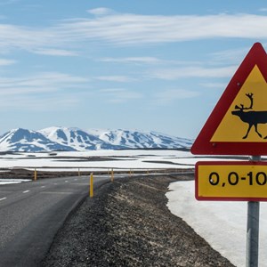 Ultimate Guide to Road Signs in Iceland (2)