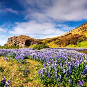 The Best Road Trips in Iceland (4)