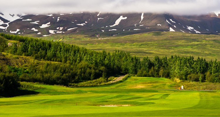 Everything You Need to Know About the Arctic Open