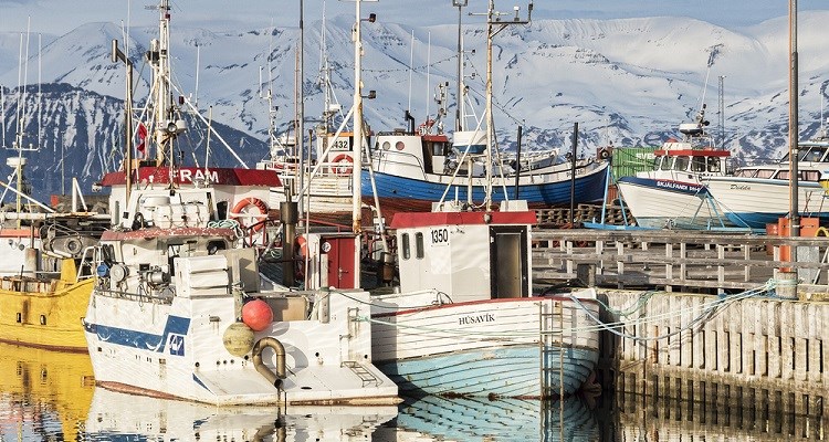 Fishing in Iceland