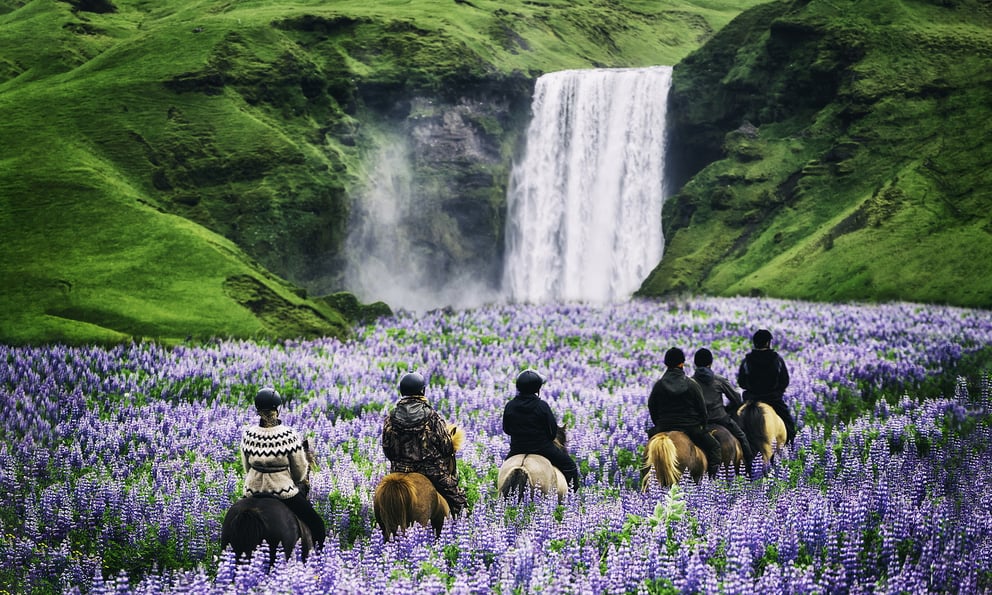 Horseback riding in Iceland.