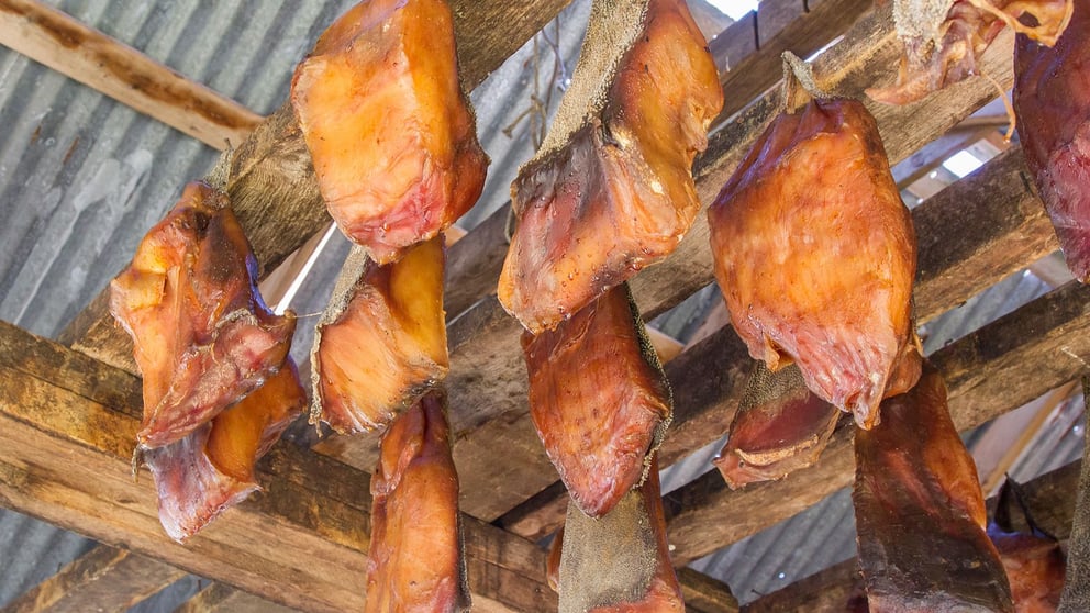 Icelandic fermented shark. 