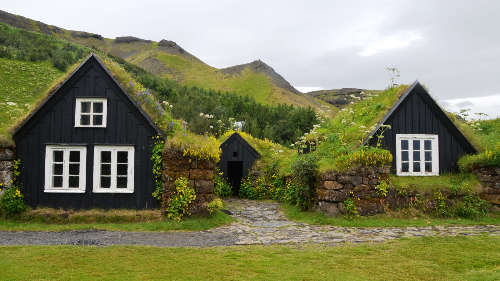 Traditional Icelandic turf houses at the front of Skógar Museum