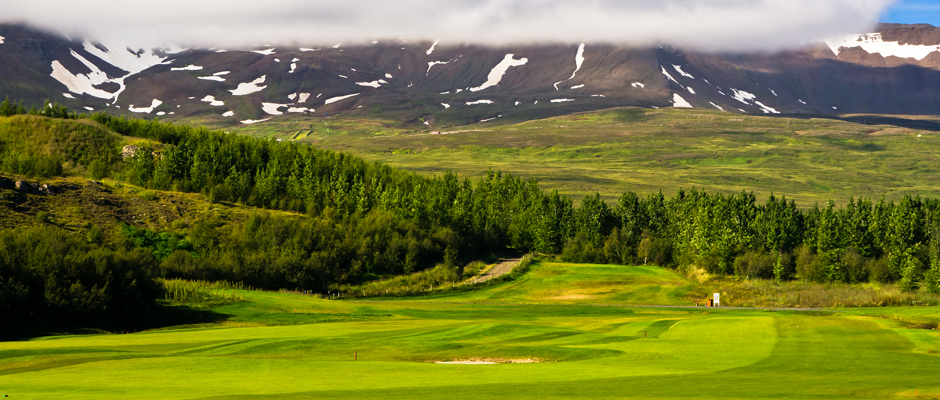 Arctic Open