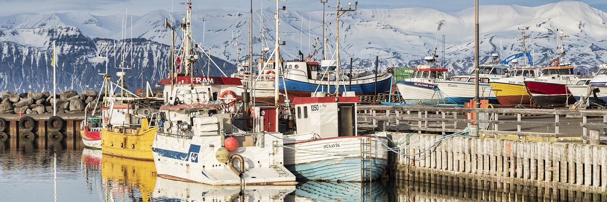fishing in iceland