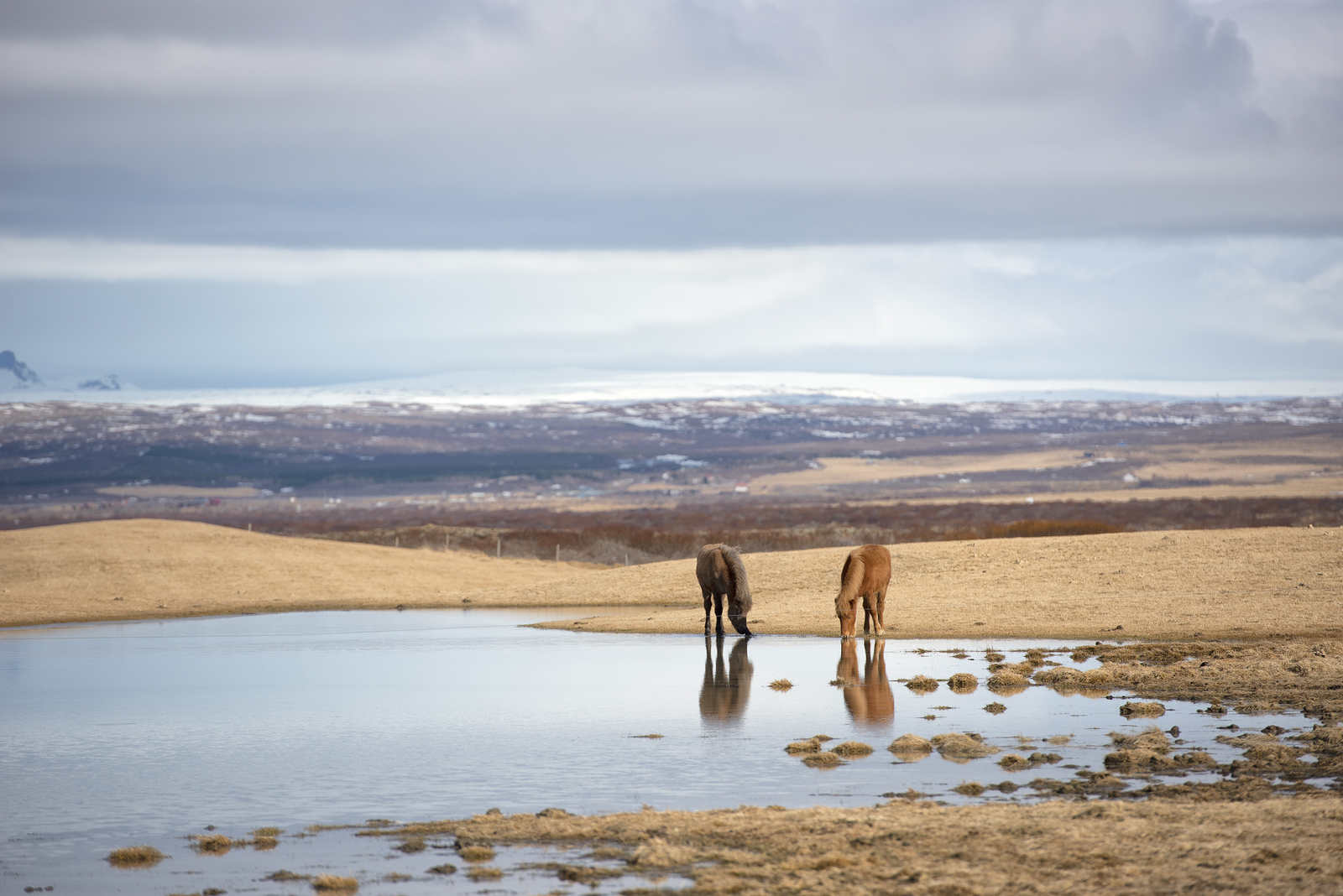 Iceland in March