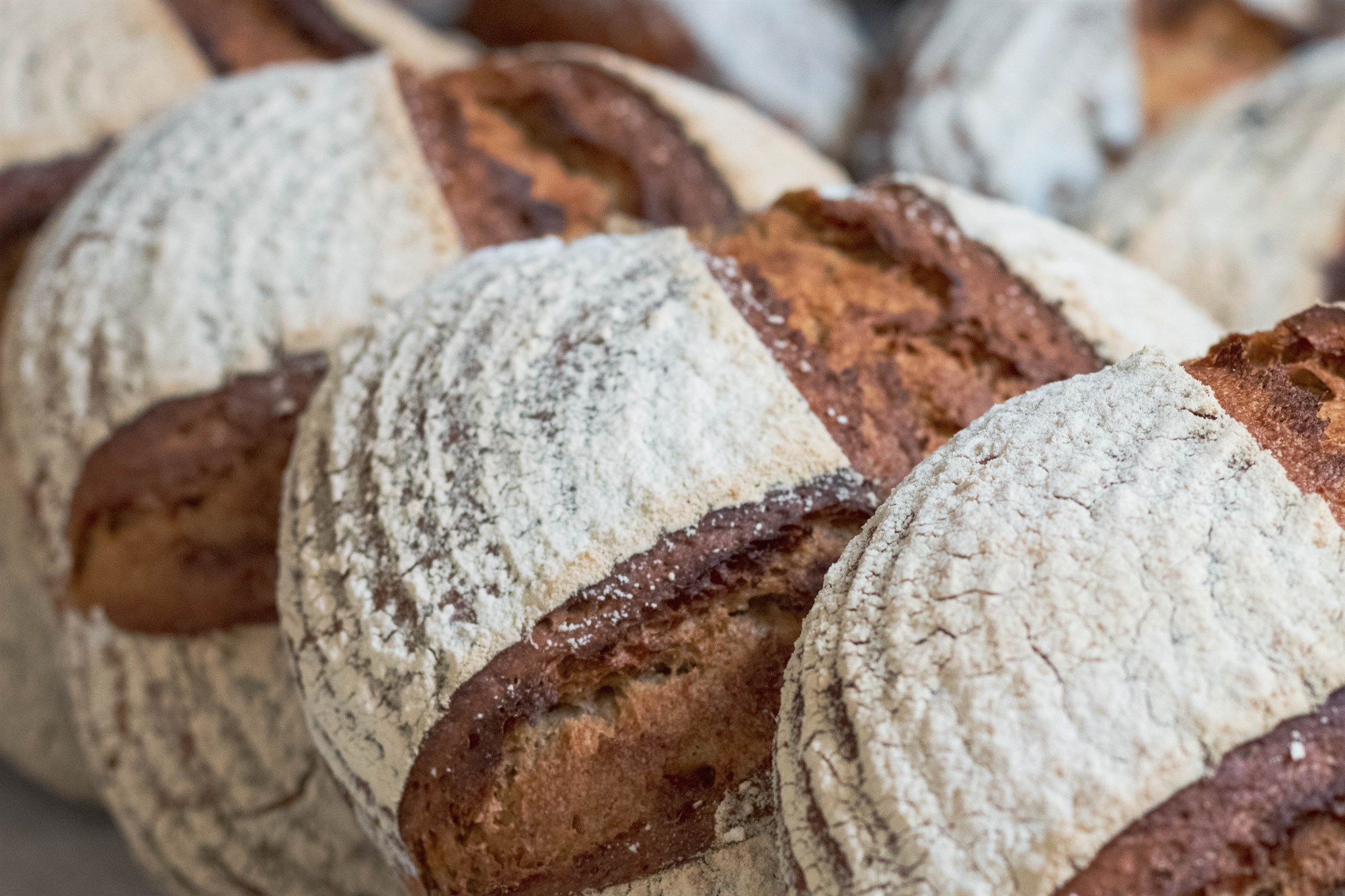 Icelandic bread.