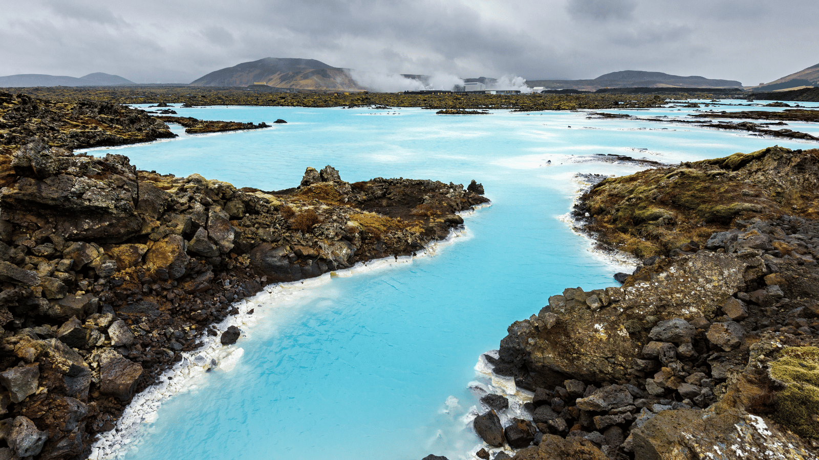 Blue Lagoon with black lava field in the background.