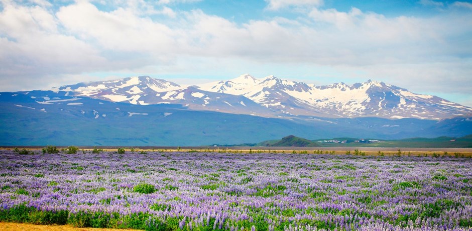 Katla Volcano Travel Guide