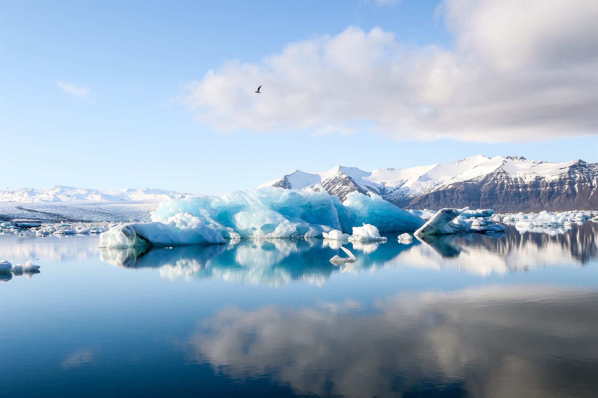 Icelandic floating icebergs on a glacial lake.