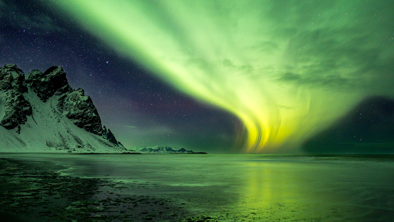 Yellowish Northern Lights in a starry sky above Höfn in Iceland.