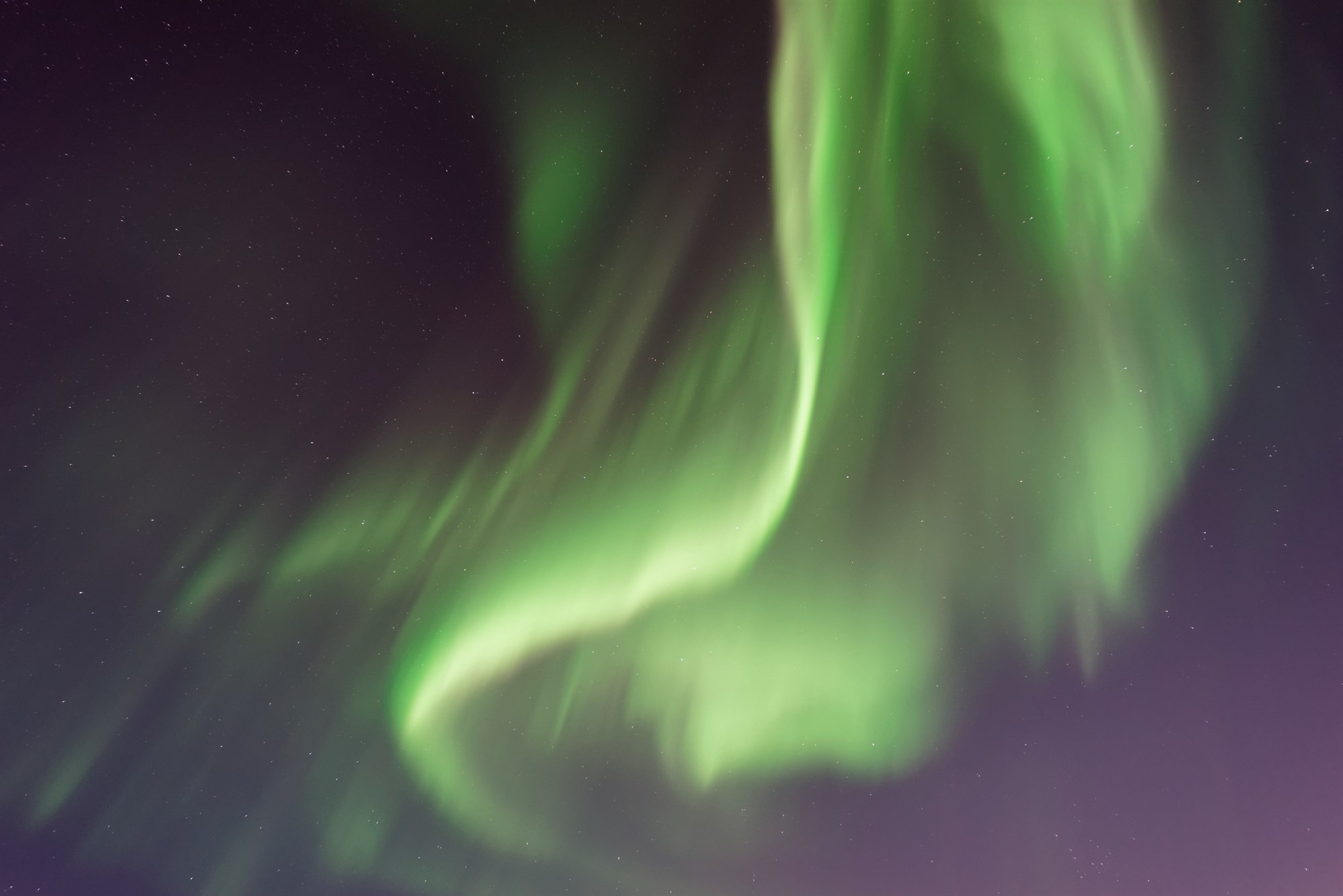 Green-coloured Northern Lights against a dark sky.