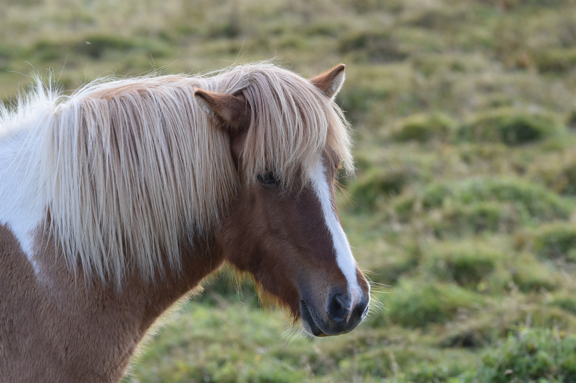 5 Must-Sees In Southeast Iceland